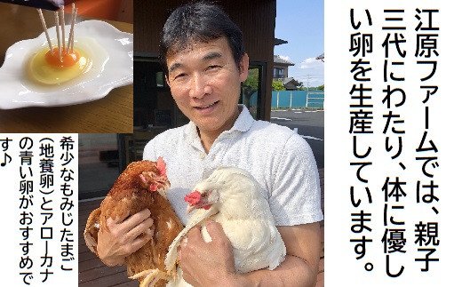 江原ファーム アローカナの青い卵(３０個) ふるさと納税 たまご タマゴ 生みたて 新鮮_AG01