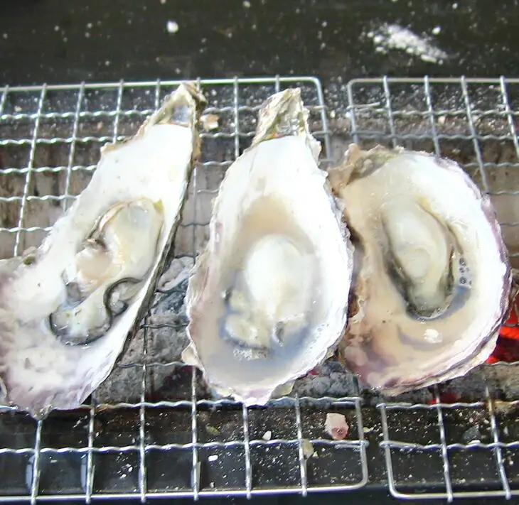 牡蠣 加熱用能登かき［むき身650g×2個］ | 牡蠣 ※2026年12月～発送