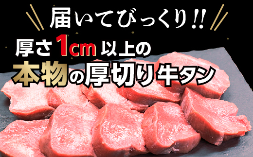 【定期便 奇数月×６回】厚切り牛タンステーキ 塩味 600g×6回 定期便 _k-27
