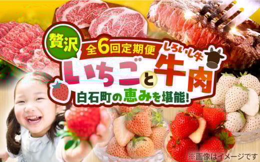 【R8年2月以降発送】【6回定期便】産地直送！白石町産 いちごと牛肉の贅沢定期便 [IZZ009]