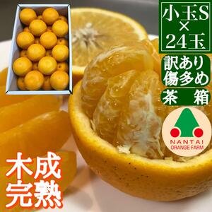 訳あり 傷多め 4月 まで 木成 完熟 させた 有田 はっさく S × 24玉 茶箱 南泰園