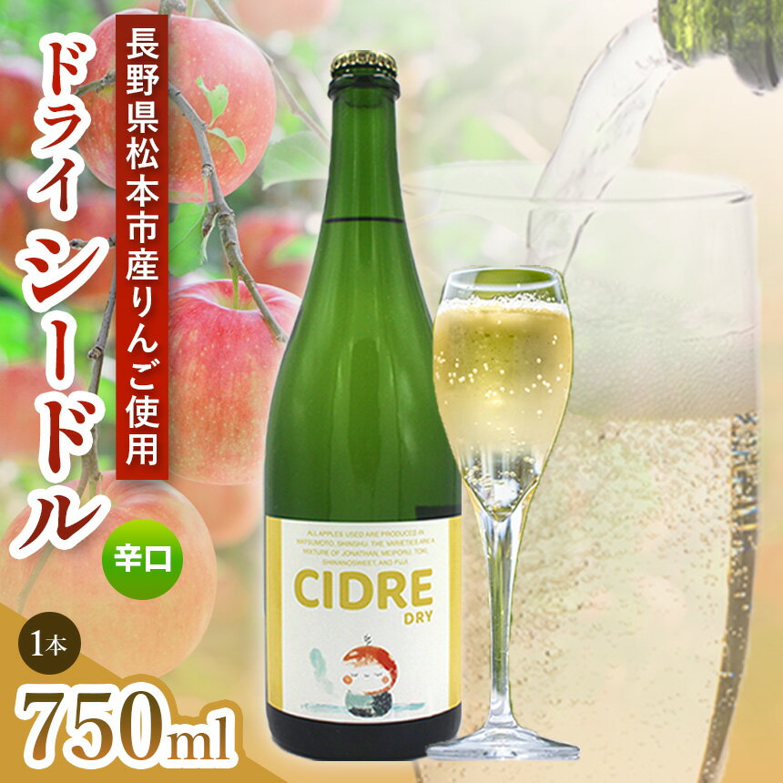 【ふるさと納税】CIDRE DRY 2023(シードル) 1本 750ml｜信州 シードル 料理 林檎 りんご 酸味 ブレンド 発泡性 辛口 ぶどう 長野県 松本市 老舗 ワイナリー 定番 酒 おさけ さけ アルコール