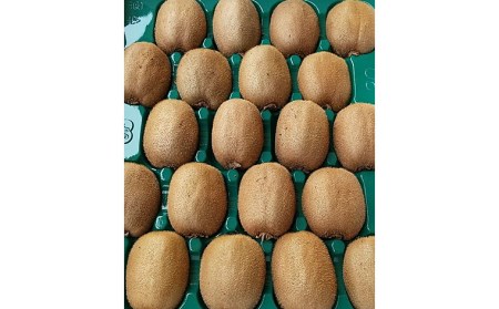 山形産 キウイ 秀品 L以上 約3.5kg(20～30玉) FZ20-067