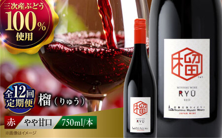 【全12回定期便】 赤ワイン 榴 りゅう RYU 750ml×1本 [APAZ140]赤ワイン