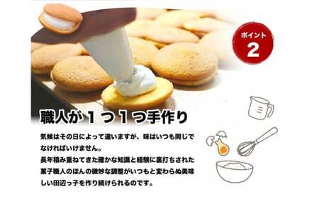 銘菓 田辺っ子（たなべっこ）12個入り×2箱 / 銘菓 お菓子 スイーツ 和菓子 個包装 小分け プレゼント ギフト ご家庭用 贈答 和歌山 バター クリーム お土産 お取り寄せ 田辺市【shd002