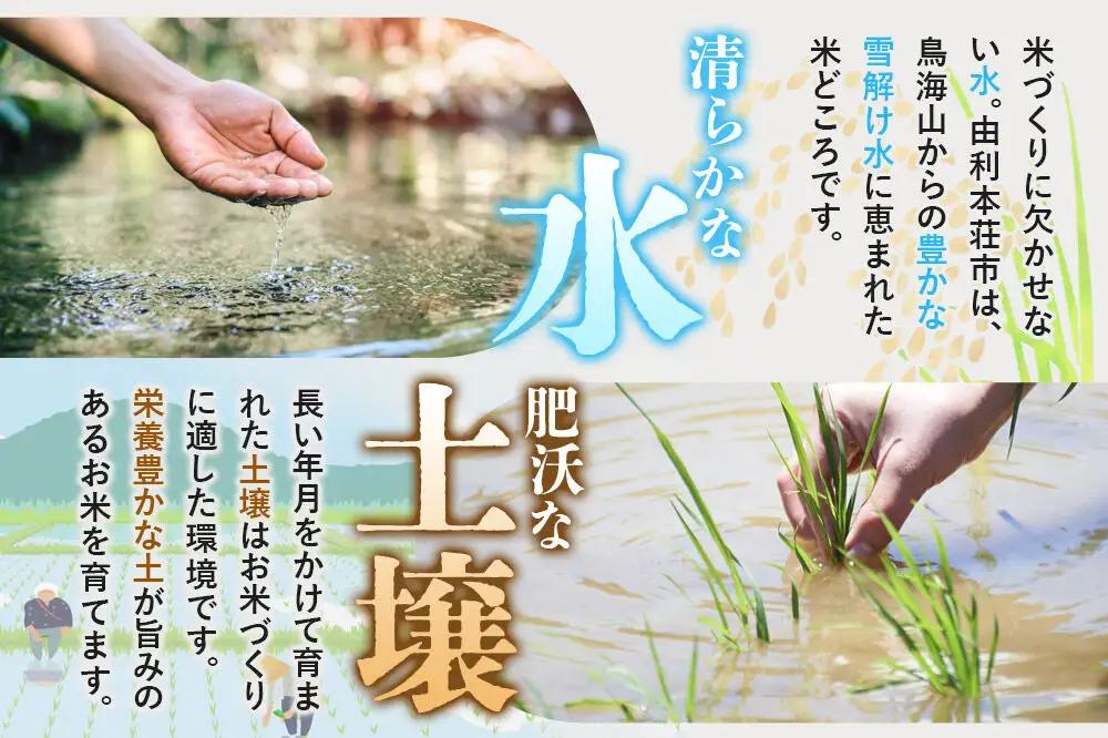 《令和8年産 新米受付》《定期便7ヶ月》【白米】極上秋田銘柄米 あきたこまち 5kg
