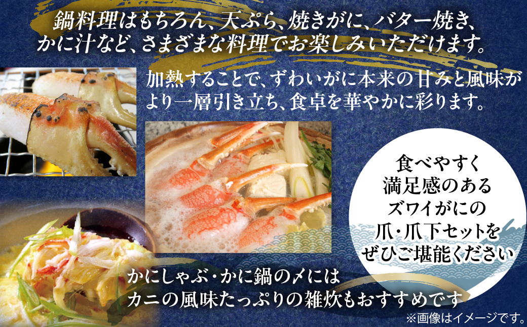 人気部位を堪能！本ずわい蟹 爪・爪下（各500ｇ）計1kg セット　殻むき済み ABB015