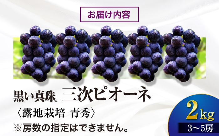 【先行予約】 三次ピオーネ 露地栽培 青秀 2kg （3～5房） ＜8月下旬以降順次発送＞限定 ぶどう ピオーネ 葡萄 ブドウ フルーツ 果物 三次市 / 三次ピオーネ生産組合 [APBD002]