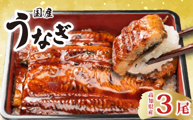 
            厳選 高知県産うなぎ 3尾 蒲焼き 国産 うなぎ蒲焼 ウナギ 土用丑の日 特製タレ 職人 手焼き 解凍 電子レンジ 簡単調理 ふんわり 柔らか 旨味 風味 香ばしい 高知グルメ 郷土料理 特産品 ギフト 贈り物 夏バテ対策 スタミナ食 タンパク質 ビタミン 1尾170g 180g 2個 安芸市 高知県
          