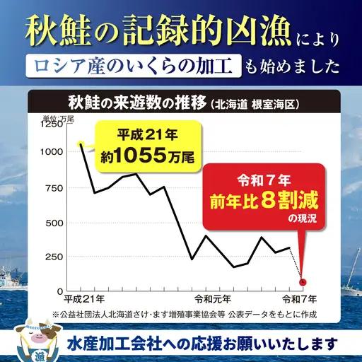 ロシア産・鮭いくら醤油漬け250g MT000TY00