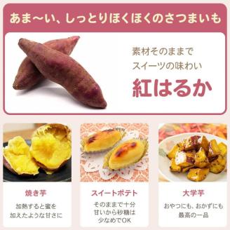 ZS-926 【2025年内発送】【訳あり】【農家直送】ママたちの想いをギュッ！薩摩で育てたさつまいも（紅はるか）洗い 規格外 7ｋｇ