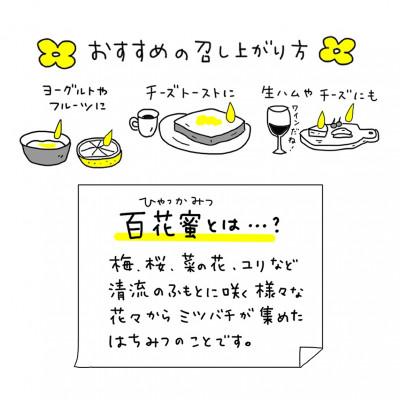 ふるさと納税 登米市 日本ミツバチ100%はちみつ【三滝堂ハニー】50g×3瓶 |  | 03
