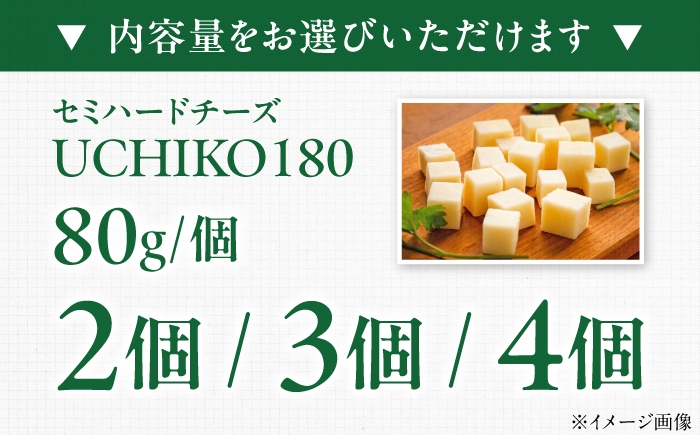 チーズ ちーず 愛媛県 伝統製法 おつまみ 乳製品 セミハードチーズ 熟成チーズ 熟成 ワイン UCHIKO180 大人気チーズ