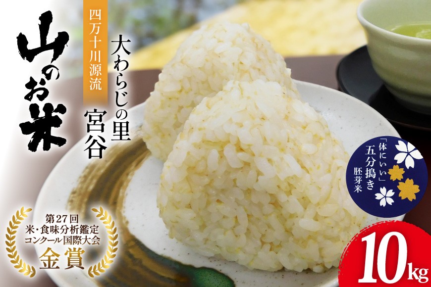 
                  米 大わらじの里 宮谷 山のお米 五分搗き 胚芽米 10kg [宮谷営農組合瑞穂ファーム 高知県 津野町 26aq0022] ふるさと納税 五分搗き 五分づき 5分搗き 5分づき 胚芽精米 食物繊維 コメ こめ お米 ごはん 国産 10キロ
                