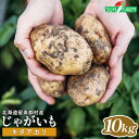 【ふるさと納税】じゃがいも キタアカリ 10kg いも おいも 芋 イモ ジャガイモ ポテト きたあかり オンライン 申請 ふるさと納税 北海道 留寿都 野菜 根菜 ホクホク 産地直送 新鮮 採れたて ポテトサラダ コロッケ スープ 10キロ 留寿都村【24013】