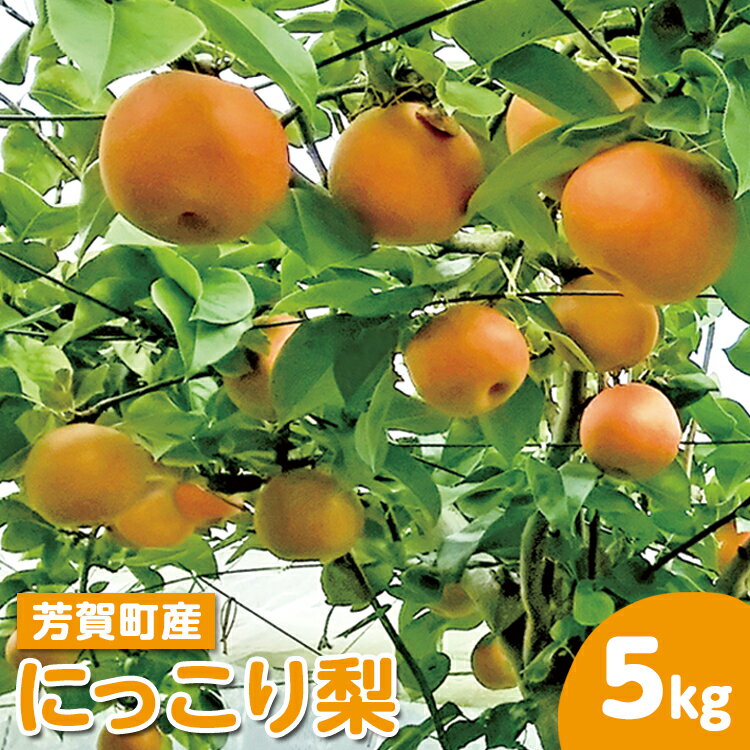 【ふるさと納税】【先行予約】栃木県芳賀町産「にっこり梨」約5kg | 梨 なし 果物 フルーツ 秋の味覚 産地直送 期間限定 季節限定 季節商品 送料無料 国産 栃木県 芳賀町 ※2025年9月下旬～10月中旬頃に順次発送予定 ※離島への配送不可