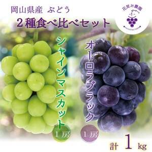 岡山　花笑み農園の『オーロラブラック＆シャインマスカット』1kg　AS-1　【9月中旬～順次発送】【配送不可地域：離島】【1629359】