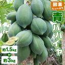 【ふるさと納税】 酵素たっぷり 青パパイヤ 選べる 1.5kg or 3kg パパイヤ 野菜 果物 フルーツ ドライフルーツ 南国フルーツ 酵素 美味しい 間食 おやつ ビタミン 栄養 鹿児島県 沖永良部島 数量 限定 まるとよ農産 鹿児島 和泊町 おすすめ ランキング プレゼント ギフト