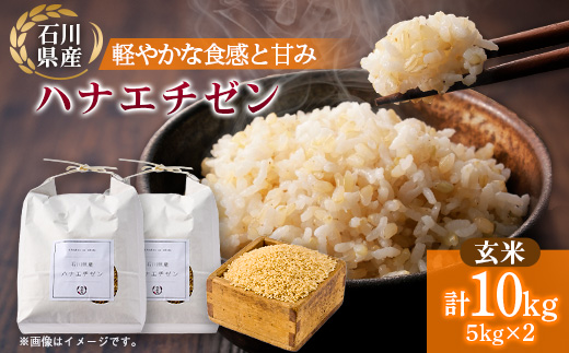 【さっぱりとした食感と甘み】石川県野々市市産ハナエチゼン 令和7年産玄米10kg(5kg×2袋)