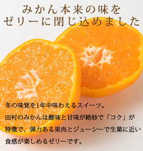 紀州和歌山まるごとみかんゼリー 145g×6個 化粧箱入 ※2024年10月上旬頃より発送予定【uot790】