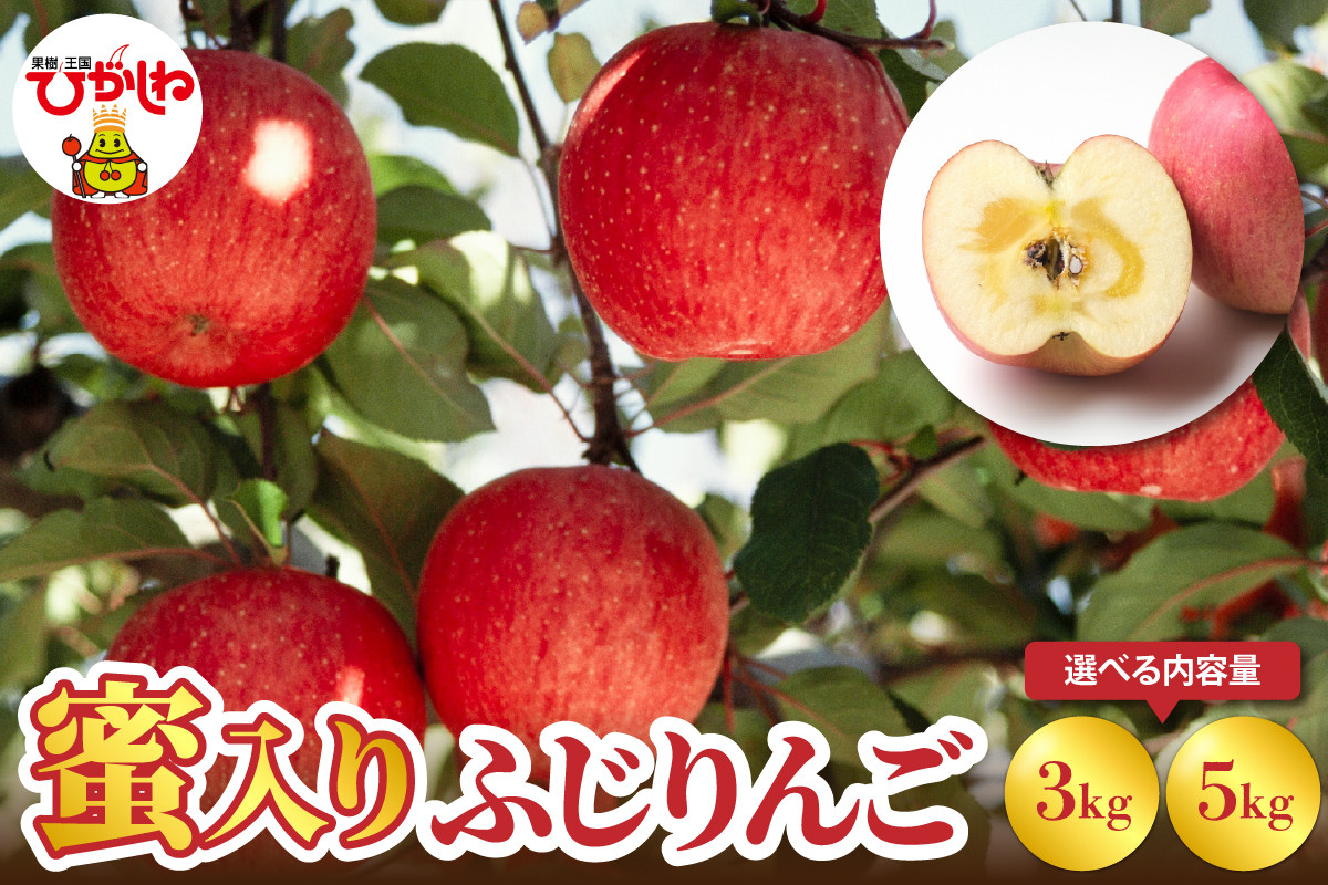 
            《選べる内容量》 蜜入りふじりんご 【3kg・5kg】　hi098-001-o
          