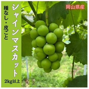 【2025年先行受付】岡山のぶどう(シャインマスカット)2kg(3～5房)【配送不可地域：離島】【1617939】