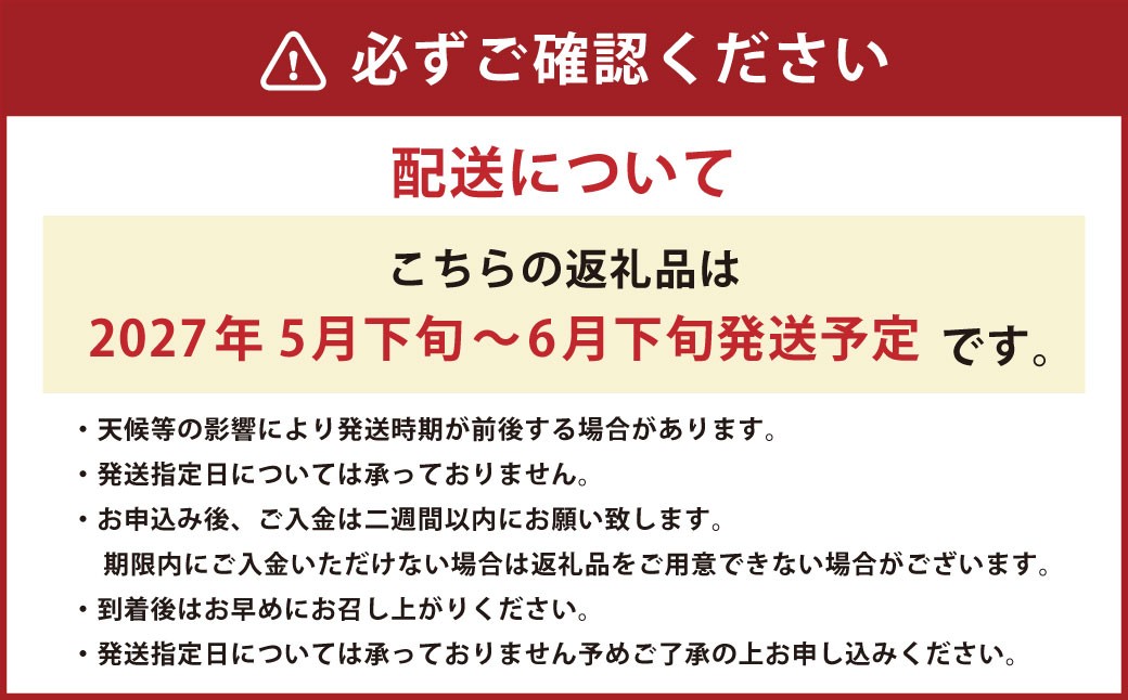 熊本特産！肥後グリーンメロン