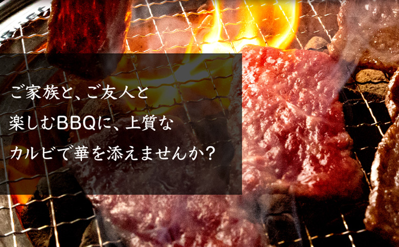 北海道産 黒毛和牛A5カルビ500g 焼肉用 | オンライン申請 ふるさと納税 北海道 中標津 黒毛和牛 A5 カルビ ショートプレート インサイドスカート 希少 特上 濃厚 脂 赤身 焼肉 BBQ 