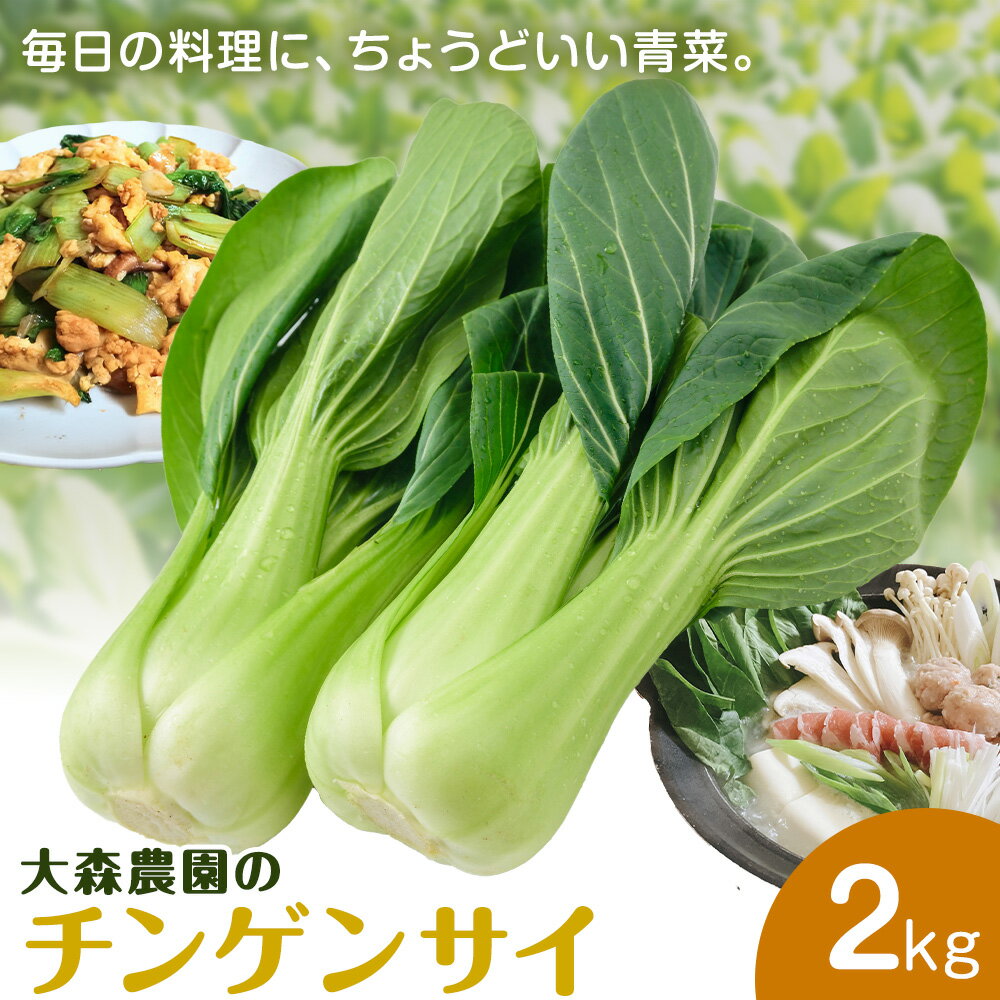 【ふるさと納税】チンゲンサイ 2kg 野菜 大森農園 《4月上旬-5月末頃出荷》栃木県 野木町 青菜 新鮮 やさい 青果 青果物 お取り寄せ チンゲン菜