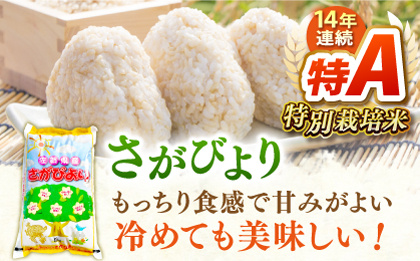 【佐賀米を食べくらべ】令和5年産 ももちゃんちのお米 玄米 食べくらべ15kg（5kg×3種）【ももさき農産】さがびより 夢しずく ヒノヒカリ [HCG002]
