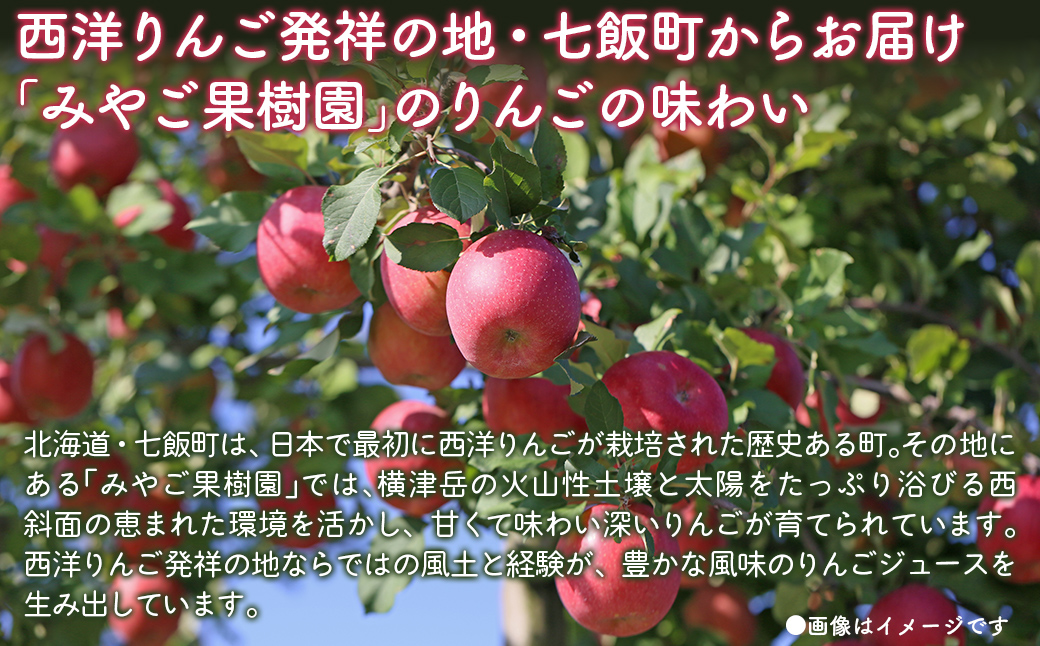 【先行予約2025年10月以降発送】無添加 りんご果汁100% 1L×6本セット りんごジュース ストレート果汁 NAJ001