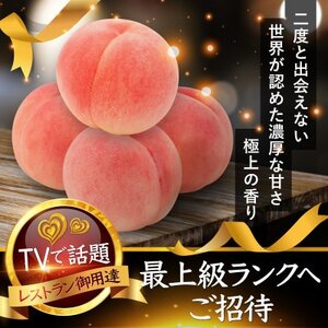 【選ばれし上位5%】海外セレブも取り寄せる糖度16度以上樹上完熟ブランド桃2025年7月下旬発送【配送不可地域：離島・北海道・沖縄県・中国・四国・九州】【1464206】