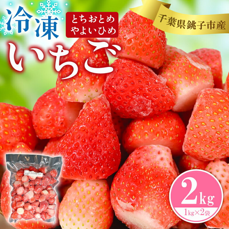 【ふるさと納税】 （先行予約）冷凍いちご 2kg （ 1kg × 2 ） とちおとめ やよいひめ 冷凍イチゴ 神原いちご園 銚子産 苺 いちご イチゴ 真空パック 冷凍 冷凍フルーツ カットフルーツ フルーツ ジャム スムージー 便利 簡単 千葉県 銚子市