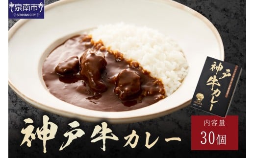 神戸牛カレー200g×30個セット【108A-005】