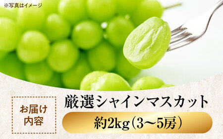 【先行予約】【9月上旬より順次発送】【贈答用】贈答用シャインマスカット約2kg（3から5房） 愛媛県大洲市/沢井青果有限会社[AGBN044] シャインマスカット シャインマスカット シャインマスカッ