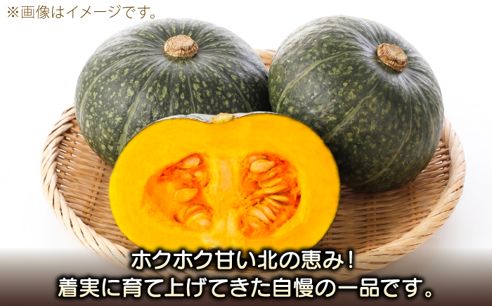 【先行予約/9月順次発送】北海道産 こだわりかぼちゃ 約5kg（2～3玉）| かぼちゃ カボチャ 北海道 野菜 南瓜 | つくしの子農園 [BOAJ001]