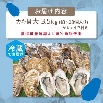 【予約：2024年10月下旬から順次発送】サロマ湖自慢の殻付きカキ貝 大 3.5kg詰め ( 牡蠣 かき 濃厚 大きい 魚介類 貝類 殻付 殻付き牡蠣 BBQ )【114-0010-2024】