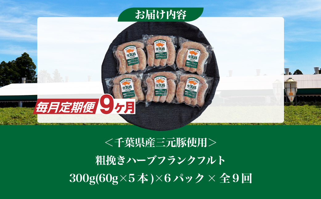 【毎月定期便】元気豚 粗挽きハーブフランクフルト 30本セット 1.8kg(60g×30本)全9回【配送不可地域：離島・沖縄県】 TAKB068