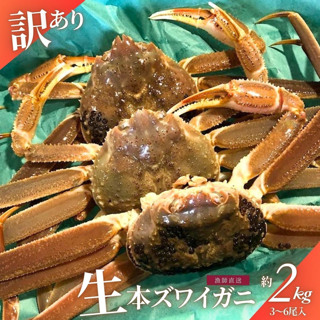 【ふるさと納税】【年明け順次発送・数量限定】＜訳あり＞冷蔵便　生本ズワイガニ　約2kg（3～6尾入）蟹 カニ 海鮮 魚介類 甲殻類 産地直送 クール お取り寄せ 新潟県 村上市 送料無料 1079004