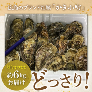 【2025年3月上旬発送】丸十水産 広島ブランド牡蠣 殻付き かき小町 約6kg (30～42個) 生食可能 生食用 冷蔵便 国産 生牡蠣 音戸産 牡蠣 カキ 旨味 濃厚 新鮮 美味しい 秋 旬 広島