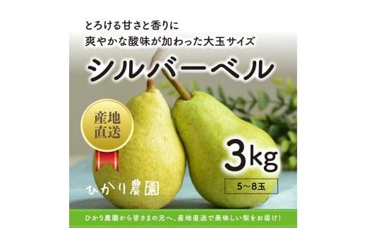 完熟こだわりシルバーベル 3キロ（ひかり農園）