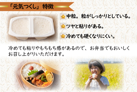 【定期便3ヶ月】元気つくしパックご飯 （4食入）8pk　Ｍ776T