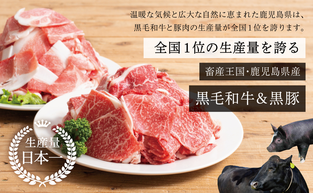 【モリモリ定期便】鹿児島県産 黒毛和牛＆黒豚 切落し定期便（全5回） 牛肉 豚肉 牛丼 肉じゃが カレー 炒め物 コマ切れ 細切れ 切り落とし 国産 お肉 定期便 冷凍 小分け スターゼン