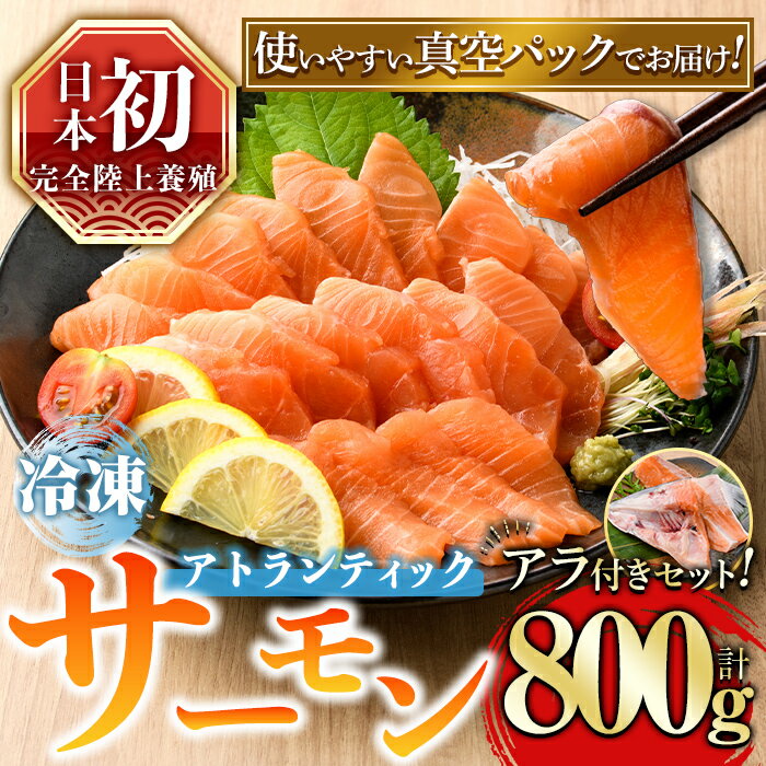 【ふるさと納税】 見つけた人はラッキー！ 【日本初：完全陸上養殖】小山町産 アトランティックサーモン【冷凍】800g +アラ付きセット アトランティックサーモン ポーション ブロック アラ付き 刺身 さしみ 冷凍 小分け 真空パック 魚介 魚 海鮮 柵 海鮮丼 カルパッチョ