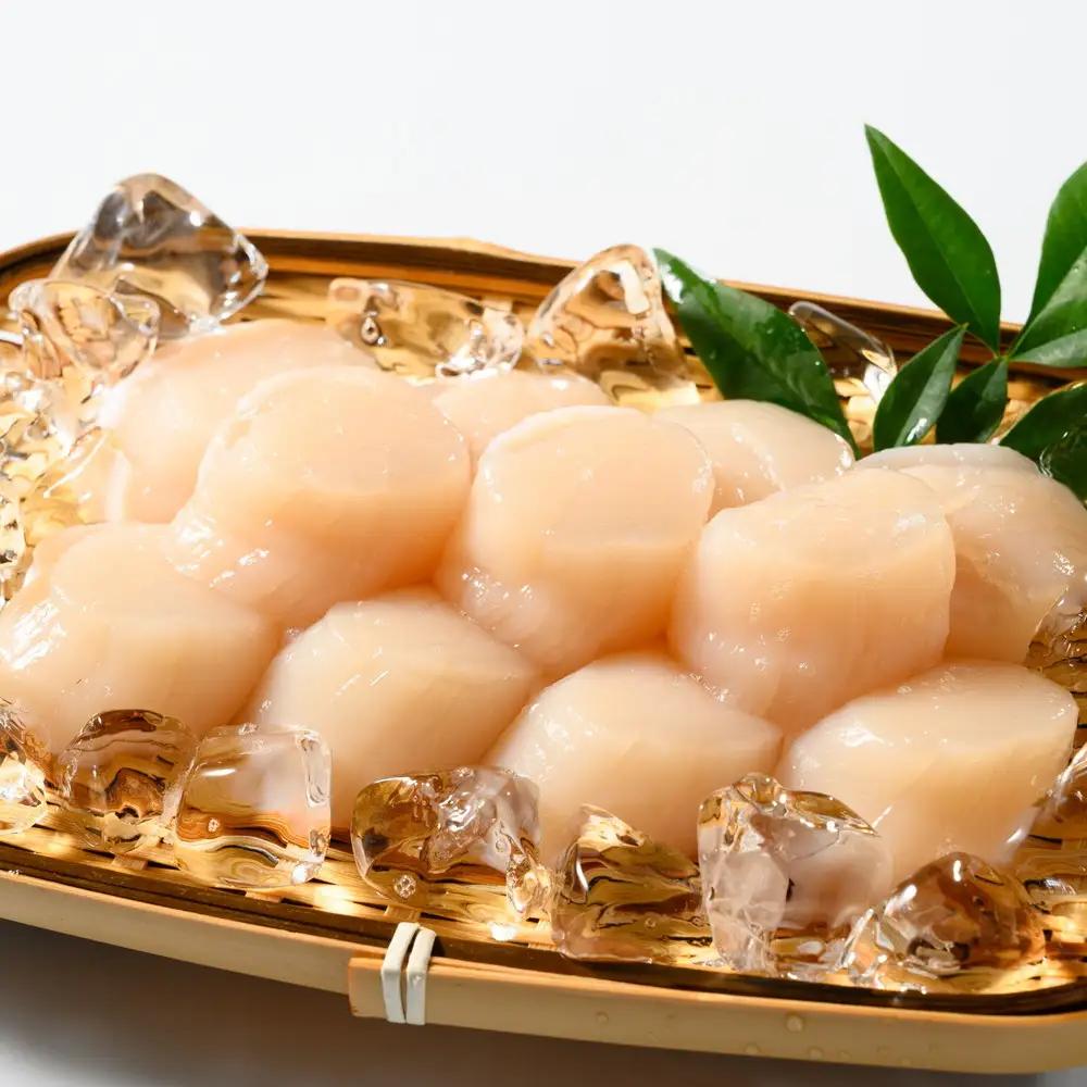 【訳あり】北海道 噴火湾産 不揃い ホタテ 500g