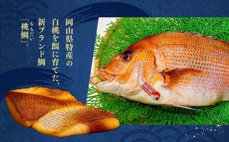 岡山ブランド魚 桃鯛 桃鯛の丸ごと1尾食べ比べセット 桃鯛約1.5kgセット（炙り 背腹部（片身分）×1セット 鍋しゃぶしゃぶ用切り身 背腹部（片身分）×1セット 1尾分あら（尾頭付）×1 桃鯛から作