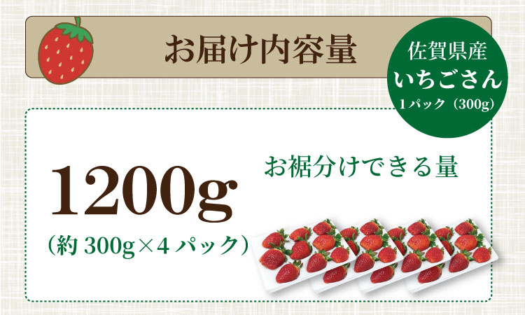 【先行予約令和8年2月配送開始】いちごさん 4箱セット（1200g）　佐賀県産 苺　ふるかわ農園 イチゴ　送料無料 農家直送品 果物 くだもの フルーツ 人気 ランキング  高評価