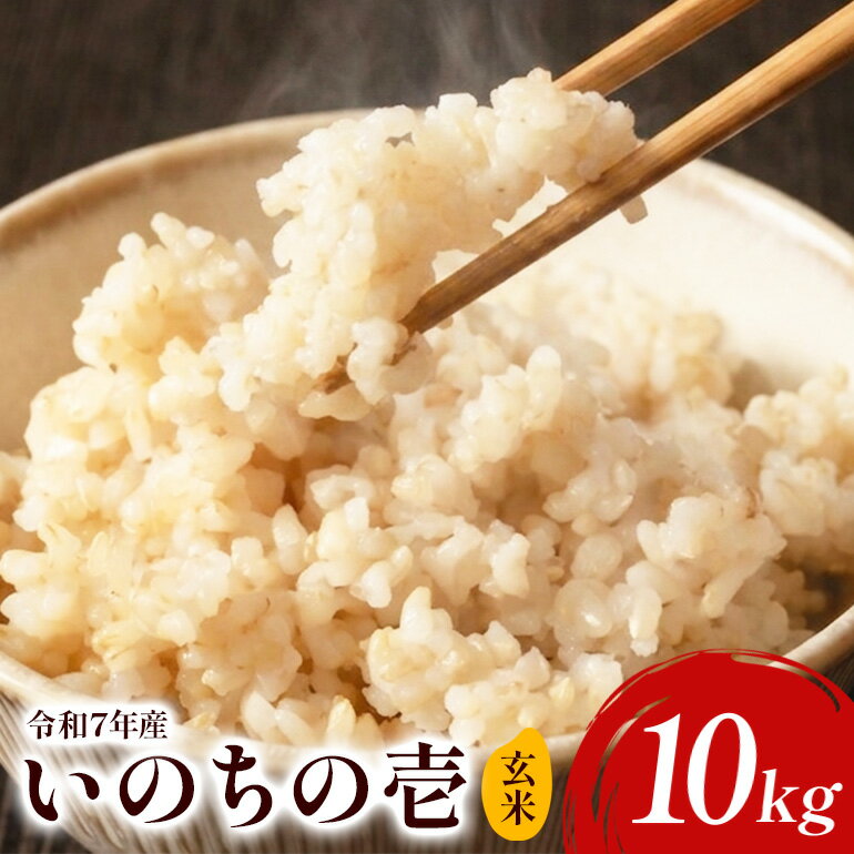 【ふるさと納税】【令和7年産】いのちの壱（玄米）10kg お米 玄米 ご飯 米 産地直送 茨城県 石岡市 B08-006