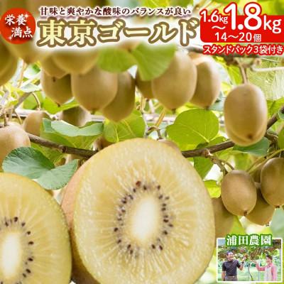 ふるさと納税 太良町 栄養満点!東京ゴールド(キウイフルーツ)14〜20個 1.6kg〜1.8kg【LB13×1】