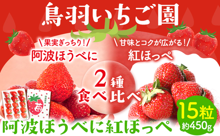 ＜ 先行予約 ＞いちご 苺 イチゴ 2種 食べ比べ お試し 15粒 約450g 鳥羽いちご園 阿波ほうべに 紅ほっぺ 《1月上旬-3月下旬頃発送予定》｜いちご苺イチゴいちご苺イチゴいちご苺イチゴいちご苺イチゴいちご苺イチゴいちご苺イチゴいちご苺イチゴいちご苺イチゴいちご苺イチゴいちご苺イチゴいちご苺イチゴいちご苺イチゴいちご苺イチゴいちご苺イチゴいちご苺イチゴいちご苺イチゴいちご苺イチゴいちご苺イチゴいちご苺イチゴいちご苺イチゴいちご苺イチゴいちご苺イチゴいちご苺イチゴいちご苺イチゴいちご苺イチゴいちご苺イ